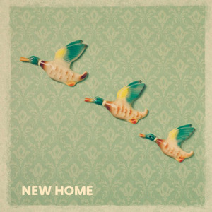 Ducks In Flight Personalised New Home Card