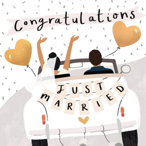Moonpig Congratulations Just Married Illustrated Wedding Card