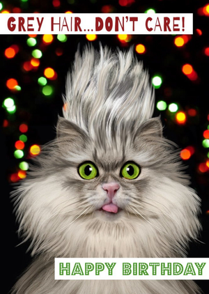 Funny Grey Hair Dont Care Cat Card