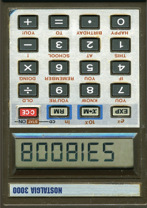 Calculator Boobies Card