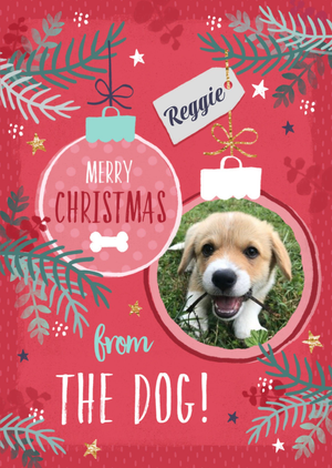Studio Sundae Merry Christmas From the Dog Photo upload Christmas Card
