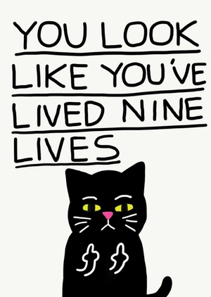 Jolly Awesome You Look Like You've Lived 9 Nine Lives Black Cat Swearing Card