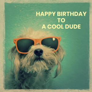 Dog Wearing Sunglasses Happy Birthday To A Cool Dude Card