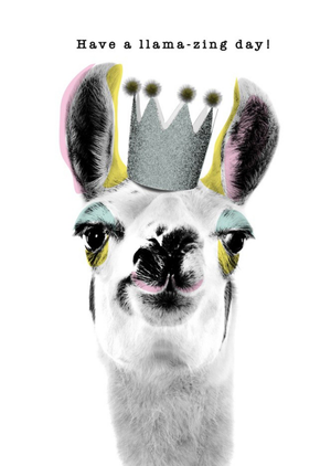 Modern Design Have A Llama Zing Day Card