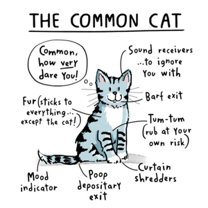 Moonpig Designers Funny The Common Cat Birthday Card