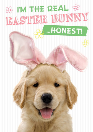 Adorable Puppy I Am The Real Easter Bunny Card