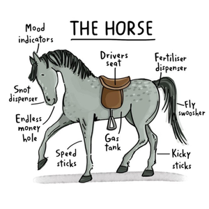 Moonpig Designers Funny The Horse Birthday Card