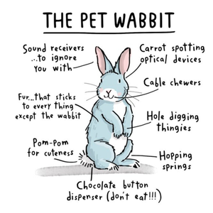 Moonpig Designers Funny The Pet Wabbit Birthday Card