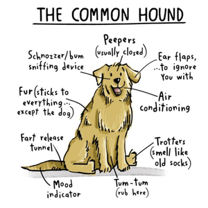 Moonpig Designers Funny The Common Hound Birthday Card