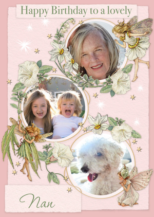 Flower Fairies Lovely Nan Photo Upload Birthday Car