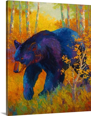 Into Spring Black Bear
