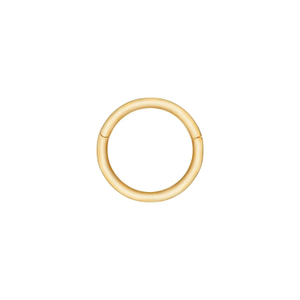 Mini Seamless Hoop Earring 9K Gold