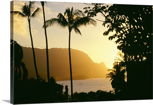 Hawaii, Kauai, Hanalei Bay, Bali Hai, Yellow Sunset Through Palm Trees