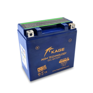 Funbikes GT80 Battery
