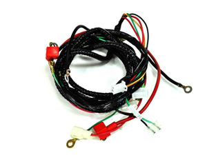 Funbikes GT80 Wiring Loom