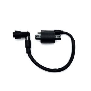M2R KMX-R 160 Pit Bike Ignition Coil