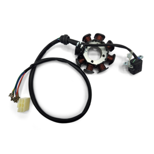 10Ten 250R Dirt Bike Stator Plate