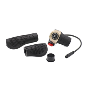 Chaos 1000 Watt Electric Scooter LED Display QR Throttle