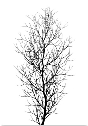 The Tree - Black