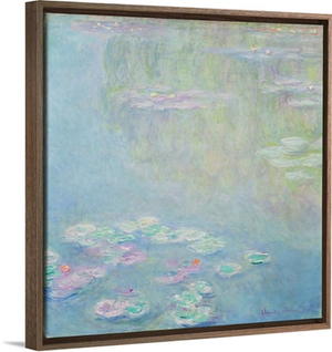 Waterlilies, 1906