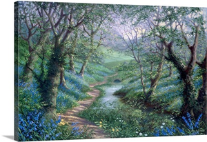Spring River Path