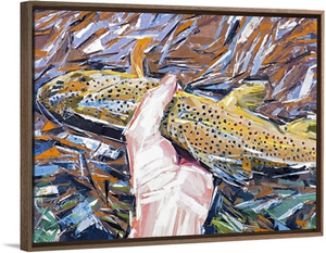 Colorado Brown Trout