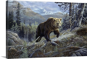 Over the Top Grizzly