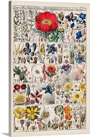 Floral Chart