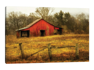 In the Country