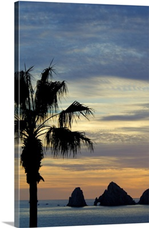 Mexico, Baja California Sur, Cabo San Lucas, Baja sunset palm with Los Arcos