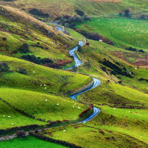 Moonpig Photographic Image Of Winding Road, Causeway Coast Card