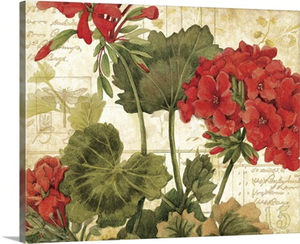 Geranium on Parchment