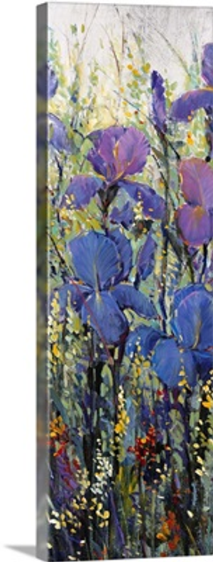 Iris Field II