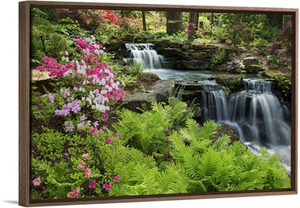 Waterfall with ferns and azaleas at Azalea Path Arboretum And Botanical Gardens