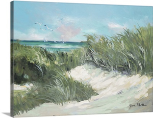 Beach Coast Grass