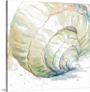 Water Conch
