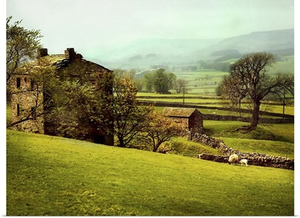 In the Yorkshire dales