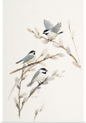 Bird in White