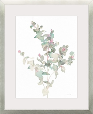 Eucalyptus II White