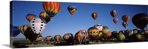 Hot air balloons floating in sky, Albuquerque International Balloon Fiesta, Albuquerque, Bernalillo County, New Mexico,
