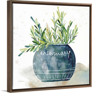 Potted Rosemary