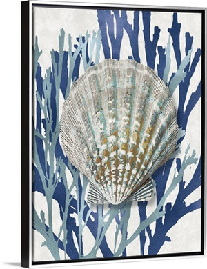 Shell Coral Aqua Blue IV