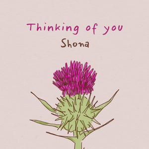 Flora Simple Illustrated Scottish Thistle Thinking Of You Card