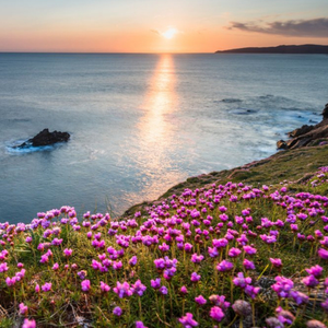 Moonpig Photographic Crohy Head, County Donegal, Ulster Region, Irelandjust A Note Card