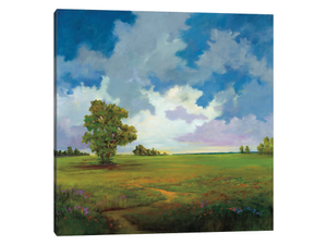 Big Sky