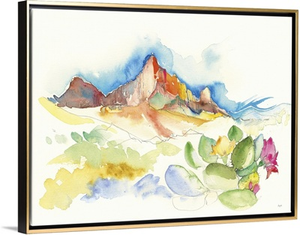 Desert Mountains