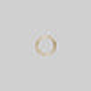 LARA. Gold Titanium Clicker Ring - Gold / 8mm / 1mm