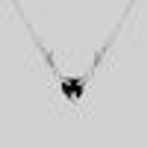 FATAL. Barbed Wire & Black Onyx Heart Necklace - Silver - Silver