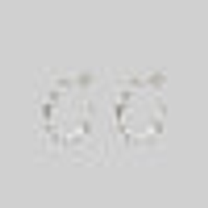 DEVISE. Double Headed Snake Twist Hoop Earrings - Silver - Silver / Pair
