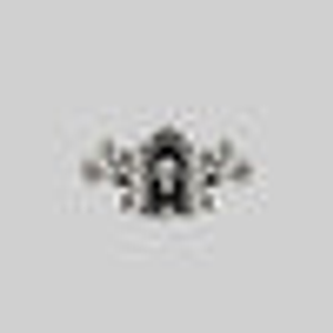 OMINOUS. Skull Under Glass™ Ring - Silver
